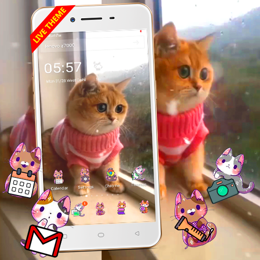 3D Cute Cat Live Launcher Theme🐱