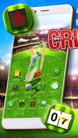 3D Cricket Theme and Launcher poster