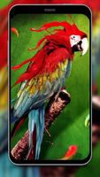 3D Cute Fuzzy Macaw Parrot Gravity Theme capture d'écran 1