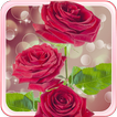Red Rose Dream Bubble Live Lock Screen Wallpapers