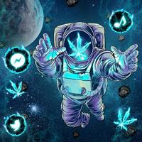 Galaxy, Space, Weed Themes & L screenshot 3