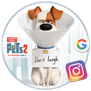 The Secret Life of Pets 2 Themes & Live Wallpapers APK