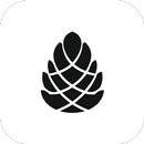 Launchpine APK