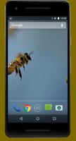 Bee Life Video Live Wallpapers poster