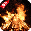 Bonfire Video Live Wallpaper