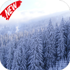 Snowy Forest Video Wallpaper biểu tượng