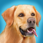 Dog Run icon