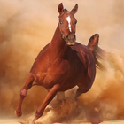 Horse Run icône