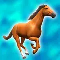 Pferd Nach Hause