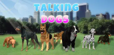 Cani parlanti