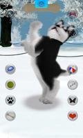 Talking Siberian Husky 截圖 1