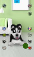 Talking Siberian Husky 截图 2