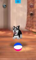 Talking Siberian Husky اسکرین شاٹ 3