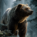 Talking Bear: My Virtual Pet APK