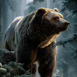 Talking Bear: My Virtual Pet