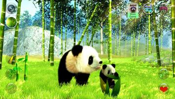 Talking Pandas Affiche