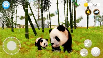 Talking Pandas capture d'écran 2