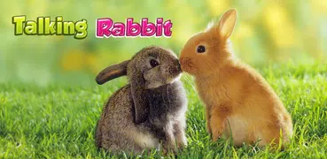 Sprechendes Kaninchen