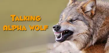 Talking Wolf
