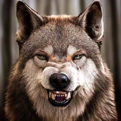 Talking Wolf APK download