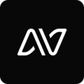 Lavo