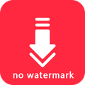 Downloader for Xiaohongshu