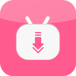 ”哔哩视频下载器