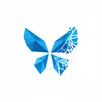Layla APK