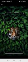Tiger Wallpapers HD 4K تصوير الشاشة 3