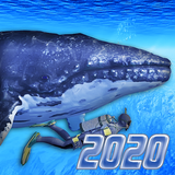 Diving Simulator 2020 ícone