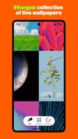 Ornamental Plakat