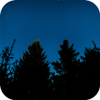 Fireflies Live Wallpaper icon