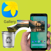 Deleted Photo & Video Recovery 图标