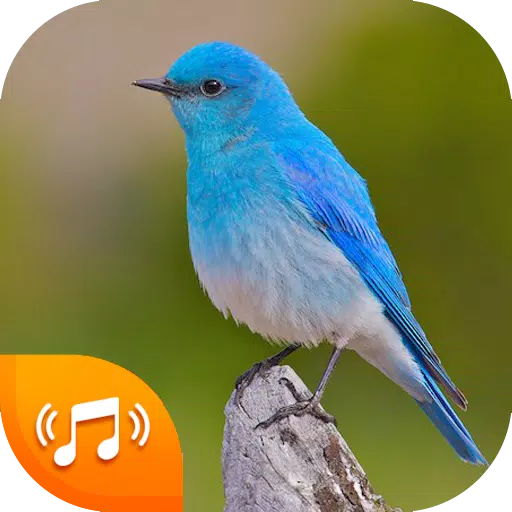 Bird Sounds - Bird Ringtones 2020 APK for Android Download