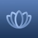 Smart Scent pro