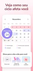 Baixar Calendário Menstrual - Período XAPK
