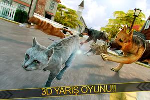 🐾 Benim Kedi Kitty Ücretsiz🐾 gönderen