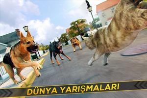 🐾 Benim Kedi Kitty Ücretsiz🐾 Ekran Görüntüsü 1