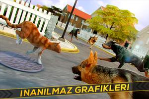 🐾 Benim Kedi Kitty Ücretsiz🐾 Ekran Görüntüsü 2
