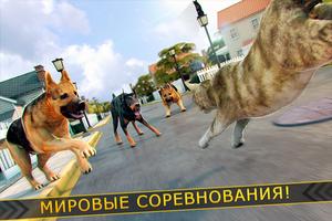 🐾 Игры Кошка Симулятор 3д 🐾 скриншот 1