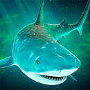 Sea of Sharks: Survival World aplikacja
