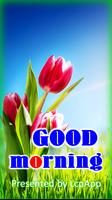 Good Morning Images Affiche