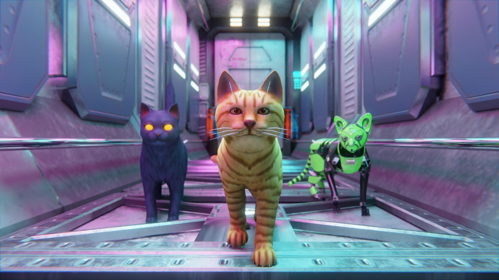 Cat games на андроид. Симулятор кота Stray. СТРЕЙ Кэт игра. Игра про кошку Stray. Stray Cat Simulator на андроид.