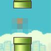 2022 Flappy Flying Bird APK
