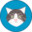 Happy Cat Detector: Meow Sound