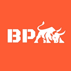 BPM Performance Zone icon