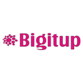 Bigitup Services