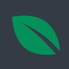leafsystems иконка