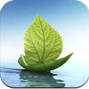 Leaf Wallpaper HD APK