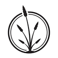 Dunegrass Co.